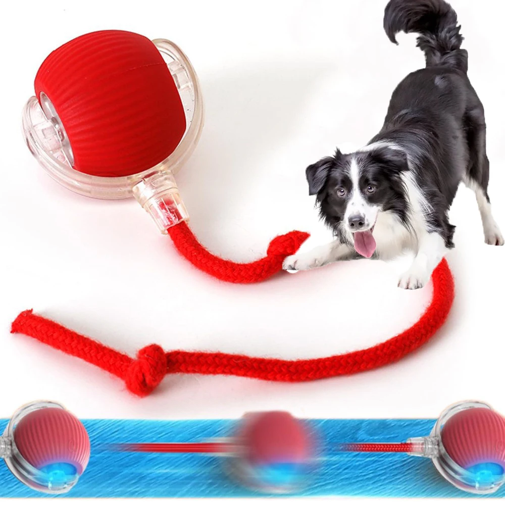 Balle électrique pour chien, jouet roulant automatique, Rechargeable, intelligent, interactif, en peluche, entraînement pour chien et chat, imiter la souris
