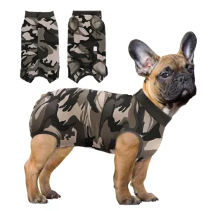 Combinaison de récupération pour chien