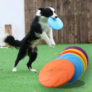 Jouets de disque volant pour chiens, vissés, traités, degré de morsure, multifonctions, jouets d'entraînement pour chiots, jeu coule en plein air, produits pour animaux de compagnie