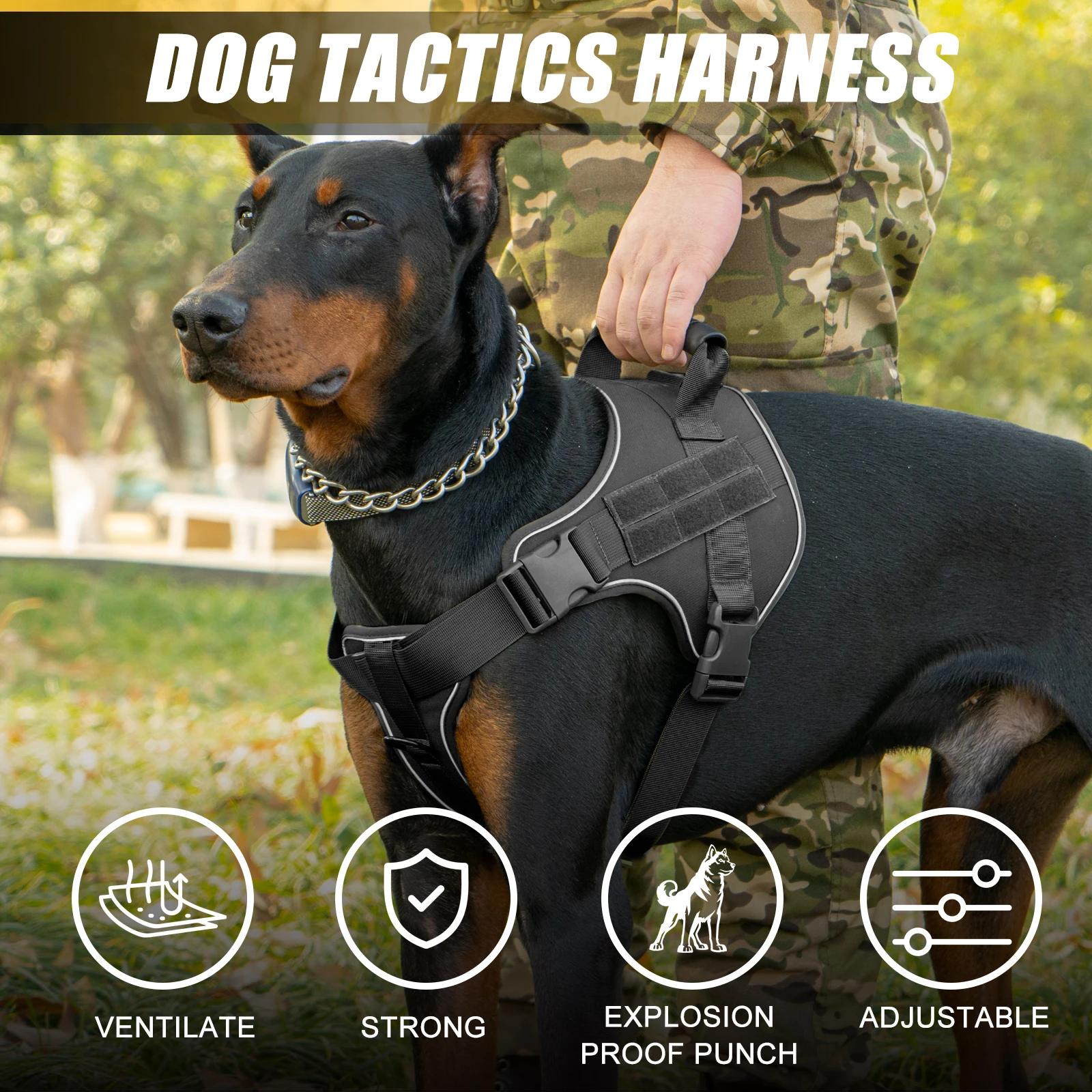 Harnais tactique pour chien, Doberman Pinscher. – Image 6