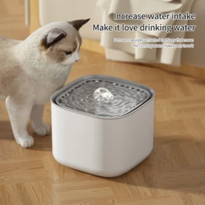 Fontaine d'eau pour chat 3L, filtre de recirculation automatique, grande capacité, abreuvoir pour chat, USB, électrique, muet, distributeur d'eau pour chats