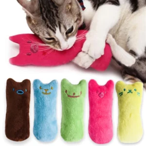 Jouets pour attraper des dents, herbe-aux-chats, jouet interactif amusant en peluche pour chaton, jouet Vocal à mâcher, griffes, morsure du pouce, menthe pour chat