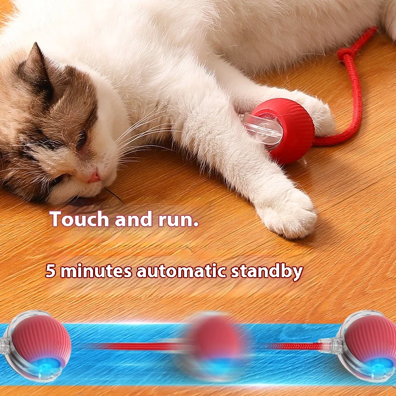 Jouets électriques pour chat, boule roulante automatique avec Teaser, oiseau, capteur intelligent interactif pour animaux de compagnie, jouets rechargeables, nouvelle collection – Image 4