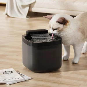 Fontaine d'eau USB 3L pour animaux de compagnie, avec pompe et filtre, distributeur d'eau Anti-brûlure sèche pour chat, buveur à recirculation automatique pour animaux de compagnie