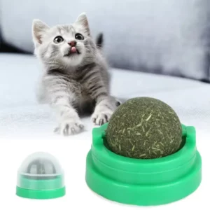 Boule murale à coller sur l'herbe à chat, jouet à gratter, friandises naturelles saines, élimine les boules pour favoriser la Digestion, collation d'herbe pour chat