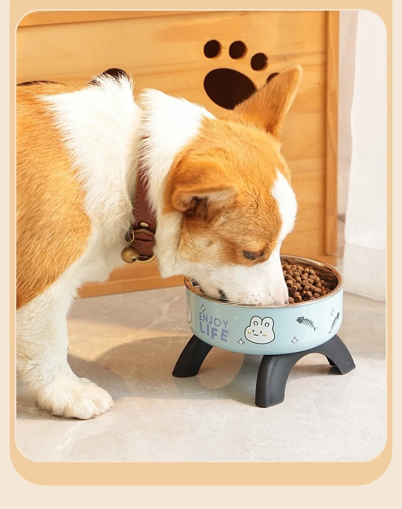 Bols surélevés pour chat pour la protection du cou, bols en acier inoxydable pour animaux de compagnie, bols pour chiens antidérapants et anti-basculement, ustensiles d'alimentation pour chiens. – Image 2