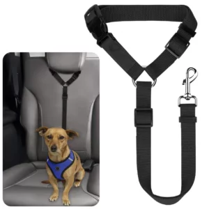 Ceinture de sécurité deux en un pour voiture, couleur unie, laisse en plomb en Nylon, ceinture de sécurité pour siège arrière, harnais réglable pour chiens, collier, accessoires pour animaux de compagnie